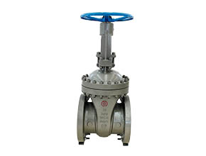 ANSI Gate Valve 